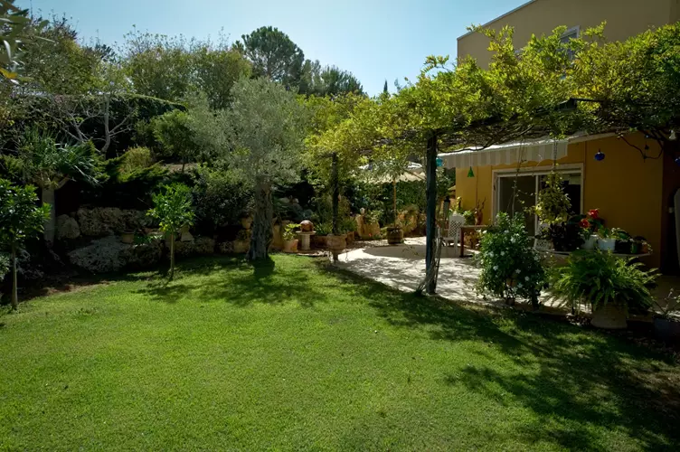 הקמה ותחזוקת גינה 4